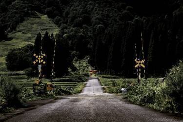 Gate to the sanctuary (Yuusuke Hisamitsu) - Muzeo.com