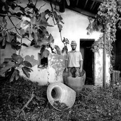 Genesis (Carlo Ferrara) - Muzeo.com