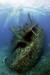 Giannis D wreck (Dray van Beeck) - Muzeo.com