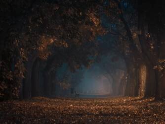 Allez plus loin et allez tout droit (Krzysztof Tollas) - Muzeo.com