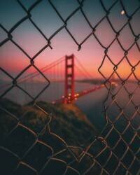 Golden Gate Caged (David George) - Muzeo.com