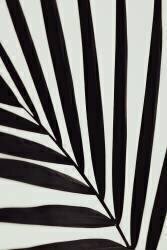 Graphique feuille de palmier 1 (1x Studio III) - Muzeo.com