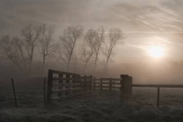 Symphonie d'un matin brumeux (Yvette Depaepe) - Muzeo.com