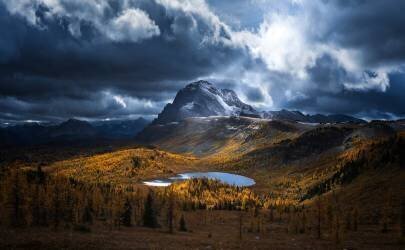 Healy Pass Golden Time (Yongnan Li) - Muzeo.com