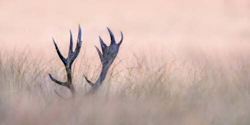 Hide a Seek (Kutub Uddin) - Muzeo.com