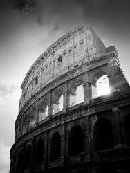 Histoire#93 (Martyn Large) - Muzeo.com