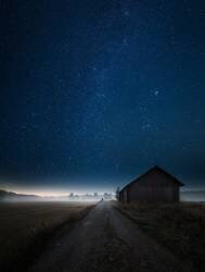 I walk alone (Mika Suutari) - Muzeo.com