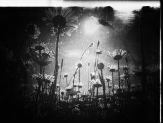 Il y a toujours un morceau de ciel (Delphine Margau) - Muzeo.com