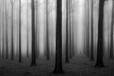 In a Fog (Jochen Bongaerts ) - Muzeo.com