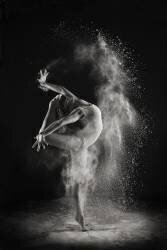 In the light (Shades and Light) - Muzeo.com