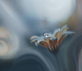 Infinite longing... (Juliana Nan) - Muzeo.com