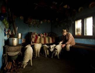 Inside his house (Mihnea Turcu) - Muzeo.com