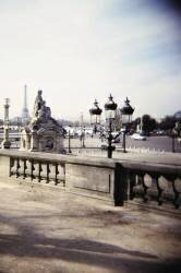 Jardin des Tuileries, côté Jeu de Paume, vue de la place de la Concorde. (Jerome Siran) - Muzeo.com