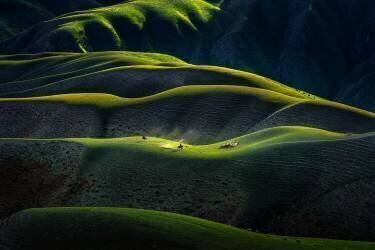 Joan Kushtai Grassland (Hua Zhu) - Muzeo.com