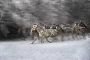 Joie de l'hiver (Milan Malovrh) - Muzeo.com