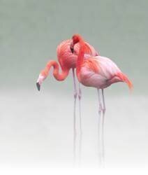 Just we two... (Anna Cseresnjes ) - Muzeo.com