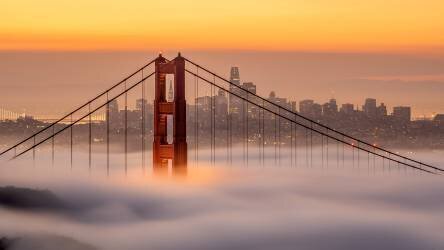Karl, the San Francisco Fog (Chengming) - Muzeo.com