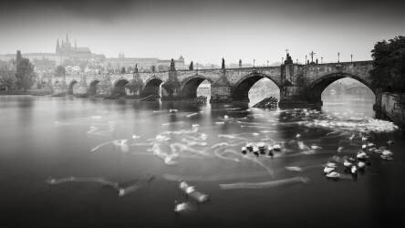 Karlův most (Ronny Behnert) - Muzeo.com