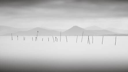 Lac Trasimène (Ronny Behnert) - Muzeo.com