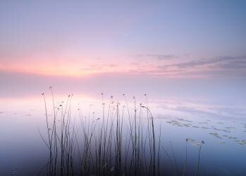 Lake (Keller) - Muzeo.com