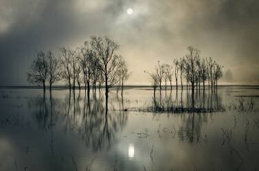 Lake's Secret (Joanne_flj) - Muzeo.com