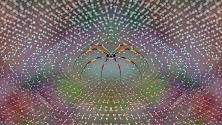 L'araignée (TThomopoulos) - Muzeo.com