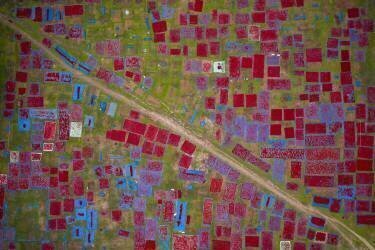 Largest red chilli field (Azim Khan Ronnie) - Muzeo.com