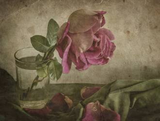 Larme de Rose (Igor Tokarev) - Muzeo.com
