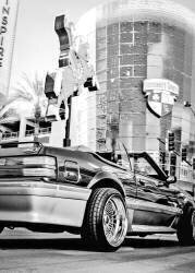 Las Vegas Car Baw (Studio 1X) - Muzeo.com