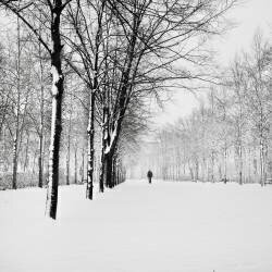 le chagrin m'embrasse (Ronny Behnert) - Muzeo.com