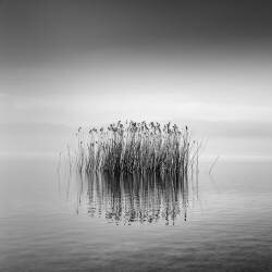 Le silence noir et blanc (George Digalakis) - Muzeo.com