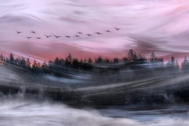 Leaving at dawn (Bjorn Emanuelson) - Muzeo.com