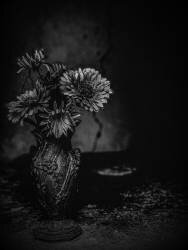 Les fissures (Delphine Margau) - Muzeo.com