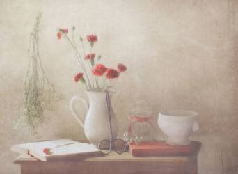 Les fleurs rouges (Delphine Devos) - Muzeo.com