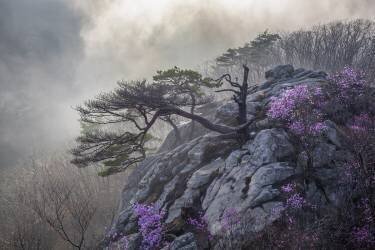 Life and death (Jaeyoun Ryu) - Muzeo.com