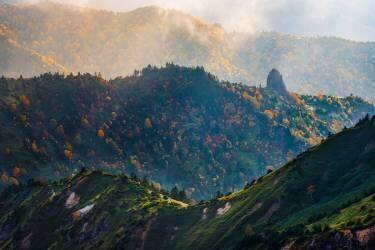 Lonely rock (Yuusuke Hisamitsu) - Muzeo.com