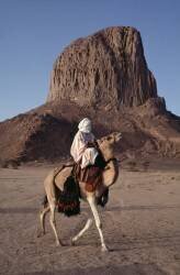 Méhariste Touareg dans le désert en Algérie (Hervé Gloaguen) - Muzeo.com
