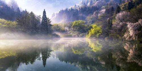 Morning calm (Gwangseop Eom) - Muzeo.com