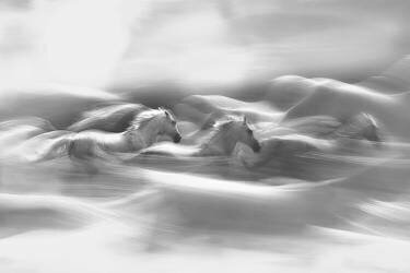 Rêve du matin (Milan Malovrh) - Muzeo.com