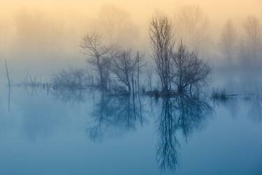 Morning reflection (David Butali ) - Muzeo.com