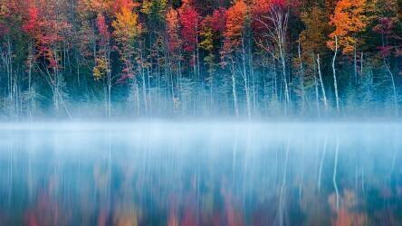 Morning Reflection (John Fan) - Muzeo.com