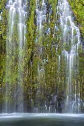 Mossbrae Falls (Hua Zhu) - Muzeo.com