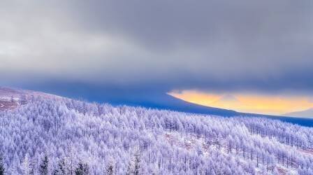 Mt. Fuji floating in the morning mist (Yuusuke Hisamitsu) - Muzeo.com