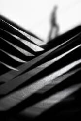 N'aller nulle part rapidement (Paulo Abrantes ) - Muzeo.com