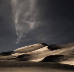 Nature heals and cheers... (Yvette Depaepe) - Muzeo.com