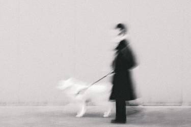 Noir en trop blanc (Roberto Ruoli) - Muzeo.com