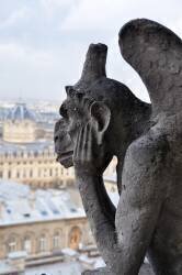 Notre Dame Gargouille (anonyme) - Muzeo.com