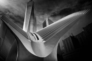 Oculus #01 (Alessio Forlano) - Muzeo.com