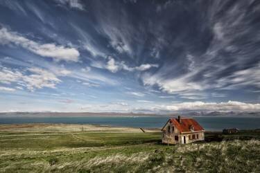 Once Yellow (Torsteinn H. Ingibergsson) - Muzeo.com