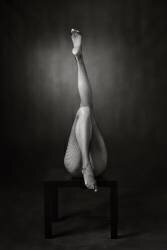 One Up, One Down (Catchlight Studio) - Muzeo.com